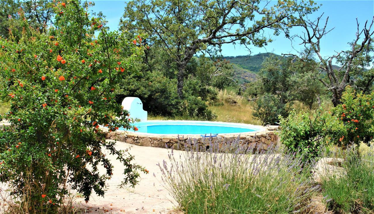 Quinta Do Marvao Guest House Exterior photo